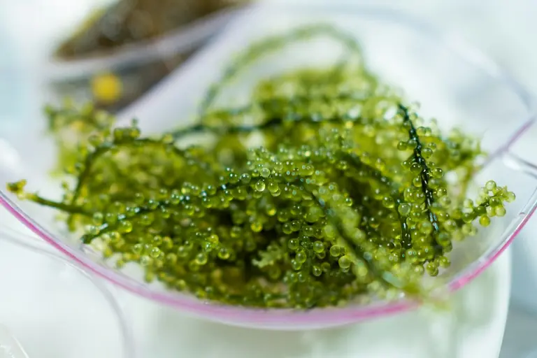 a close up of a bowl of seaweed