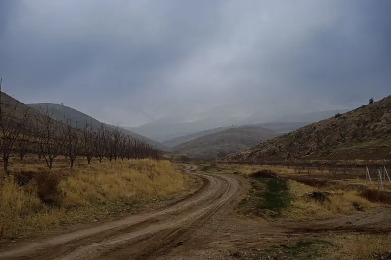 Explore the tranquility of autumn with a winding dirt road through barren hills and leafless trees, under a cloudy sky.