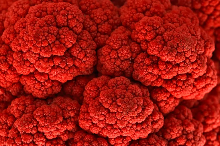 Cauliflower Kiss