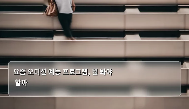 요즘 오디션 예능 프로그램, 뭘 봐야 할까