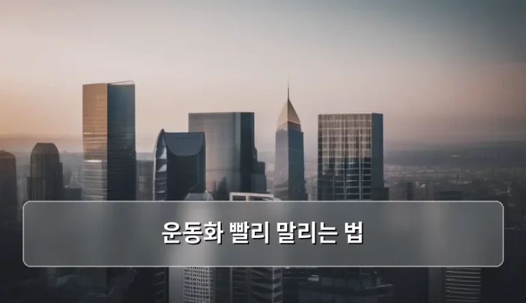 운동화 빨리 말리는 법 및 냄새 제거 노하우