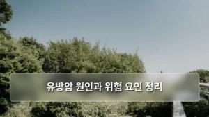 유방암 원인과 위험 요인 정리: 조기 발견과 예방의 모든 것