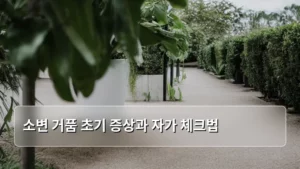 소변 거품 초기 증상과 자가 체크법, 놓치지 않고 알아보자