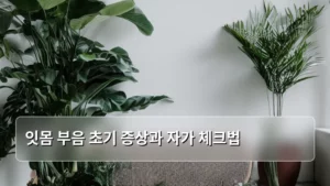 잇몸 부음 초기 증상과 자가 체크법으로 건강하게 관리하기