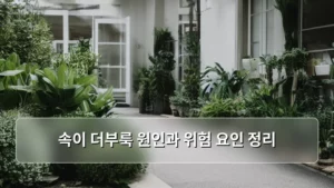 속이 더부룩한 느낌, 원인부터 위험 요인까지 속 시원하게 정리해 본다