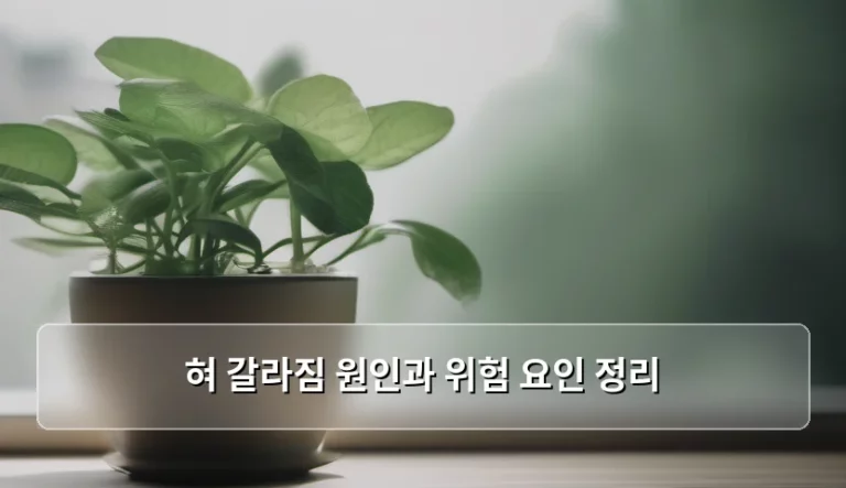 혀 갈라짐 원인과 위험 요인 정리, 건강한 혀를 위한 관리법