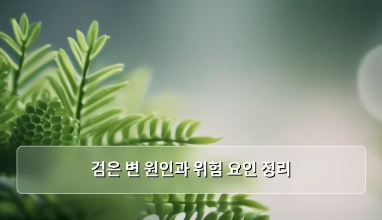 검은 변 원인과 위험 요인 정리, 건강 적신호일까요?