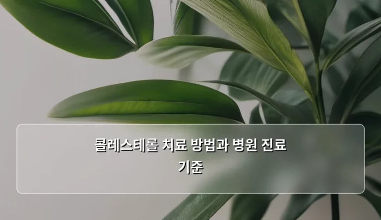 콜레스테롤 치료 방법과 병원 진료 기준, 건강한 혈관을 위한 가이드