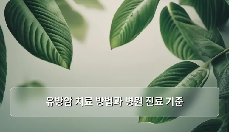유방암 치료 방법과 병원 진료 기준, 정확히 알고 대처하는 법