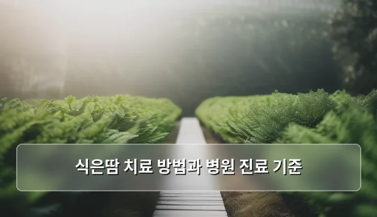 식은땀 치료 방법과 병원 진료 기준 정리