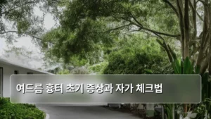 여드름 흉터 초기 증상과 자가 체크법, 제대로 알고 관리하는 법