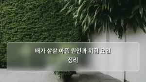 배가 살살 아픔, 혹시 나도? 배가 살살 아픔 원인과 위험 요인 총정리