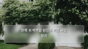 한쪽 귀 먹먹함 원인과 위험 요인 정리, 혹시 나도 해당될까?
