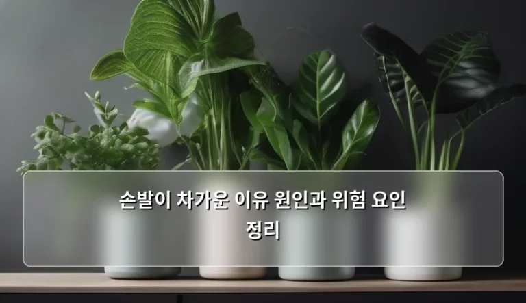 손발이 차가운 이유 원인과 위험 요인 정리 및 관리 방법