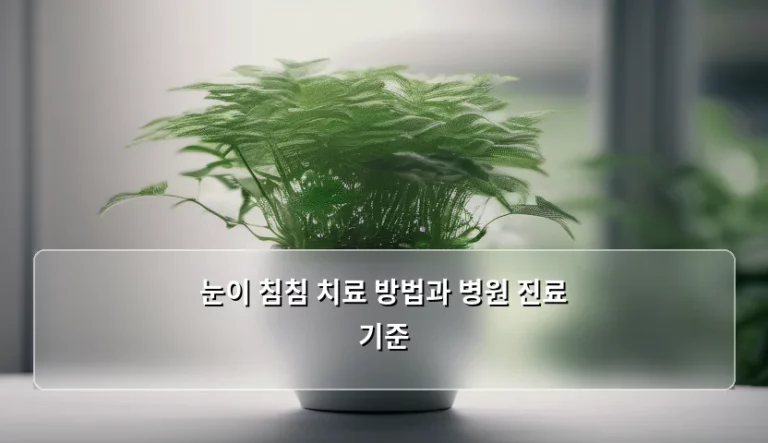 눈이 침침 치료 방법과 병원 진료 기준, 언제 안과를 가야 할까요?