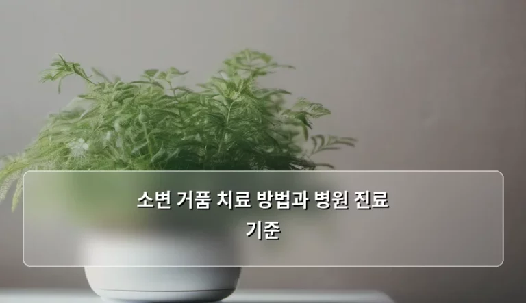소변 거품 치료 방법과 병원 진료 기준 확인하기