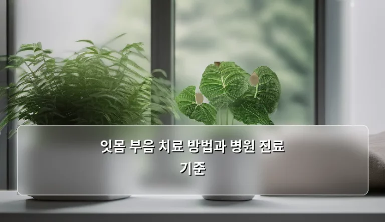 잇몸 부음 치료 방법과 병원 진료 기준 정리