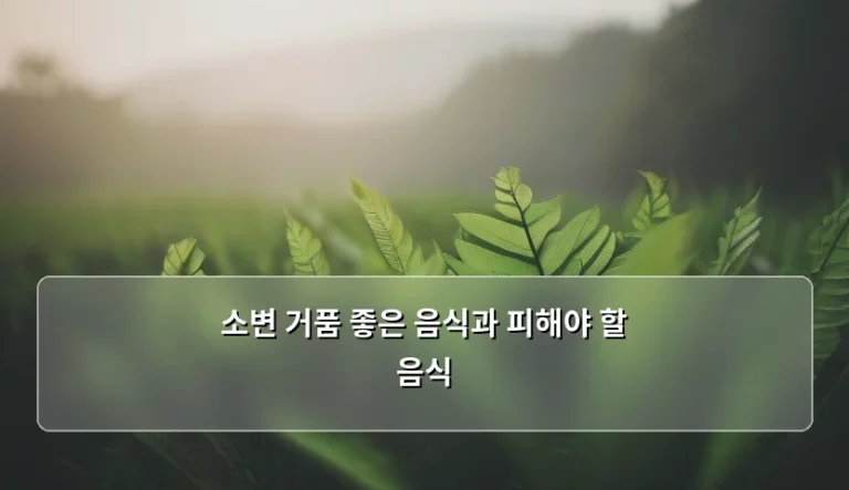 소변 거품 원인과 소변 거품 좋은 음식과 피해야 할 음식 정리
