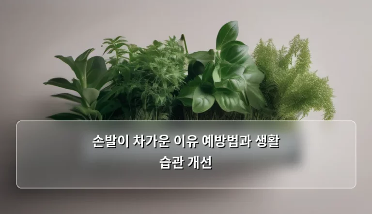 손발이 차가운 이유 예방법과 생활 습관 개선 방법