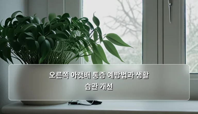 오른쪽 아랫배 통증 예방법과 생활 습관 개선 가이드