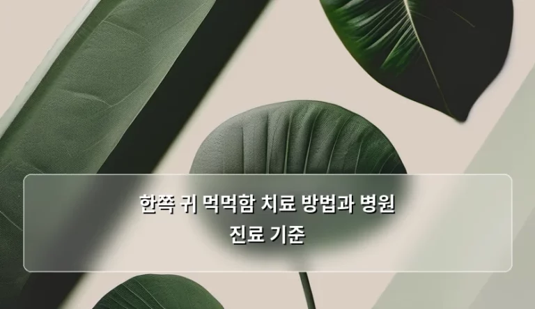 한쪽 귀 먹먹함 치료 방법과 병원 진료 기준, 방치하면 위험할까요?
