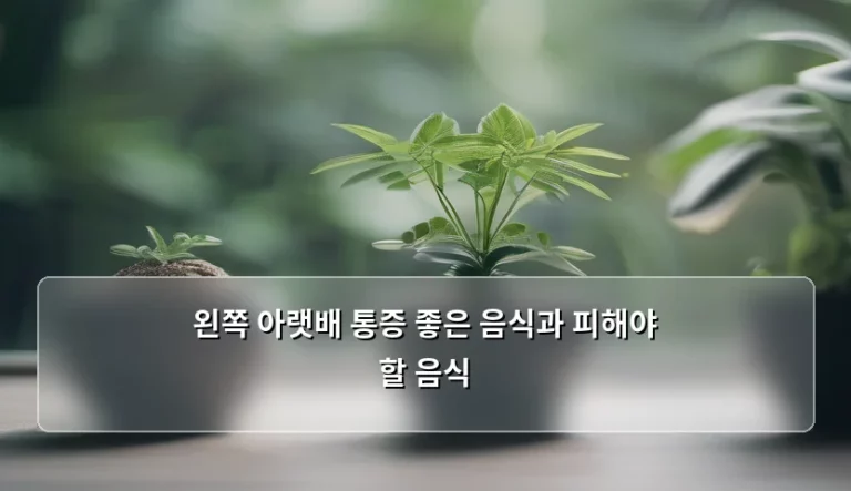 왼쪽 아랫배 통증 좋은 음식과 피해야 할 음식 정리