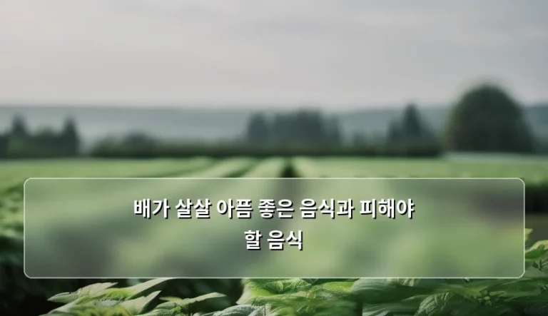 배가 살살 아픔 좋은 음식과 피해야 할 음식 정리