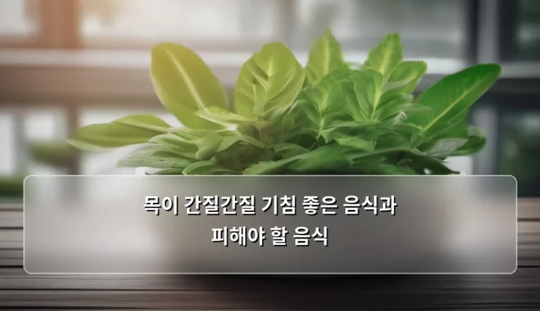 목이 간질간질 기침 좋은 음식과 피해야 할 음식 가이드