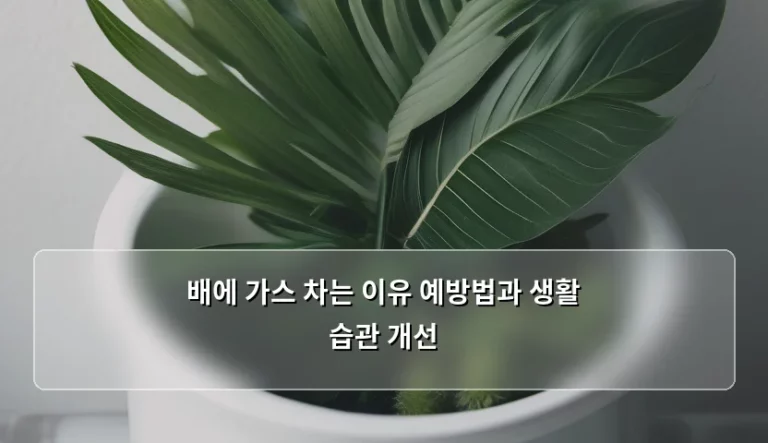 배에 가스 차는 이유 예방법과 생활 습관 개선 방법