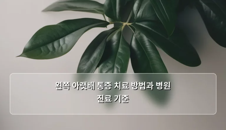 왼쪽 아랫배 통증 치료 방법과 병원 진료 기준, 어떤 상황일까요?