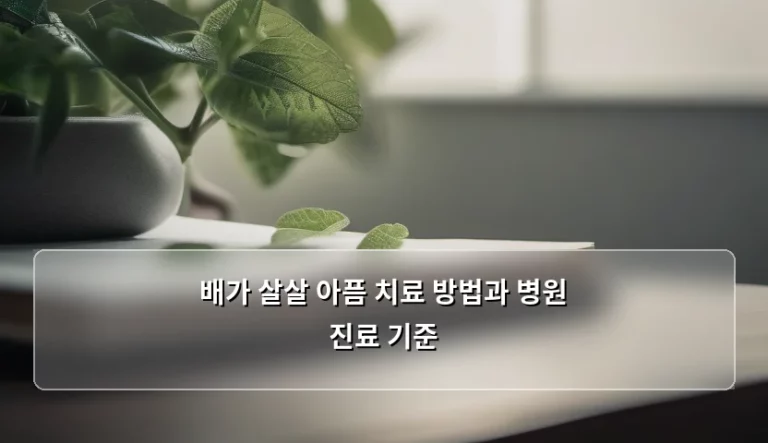 배가 살살 아픔 치료 방법과 병원 진료 기준, 어떻게 대처해야 할까요?