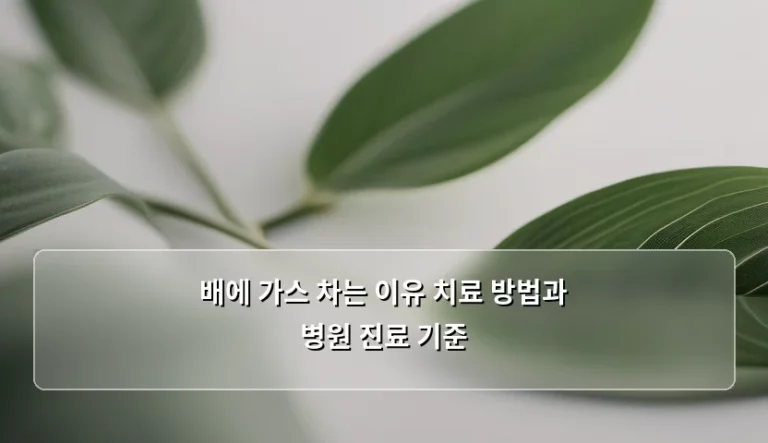 배에 가스 차는 이유 치료 방법과 병원 진료 기준 완벽 정리