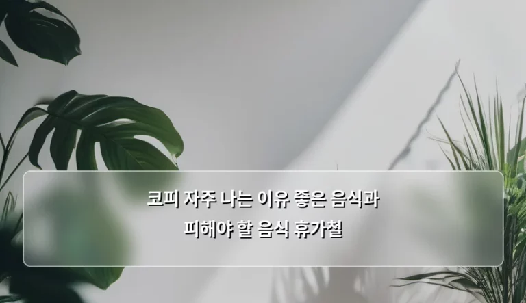코피 자주 나는 이유와 좋은 음식 및 피해야 할 음식 휴가철 관리법