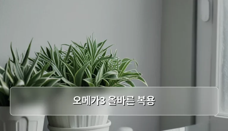 오메가3 올바른 복용 방법과 고르는 기준 가이드