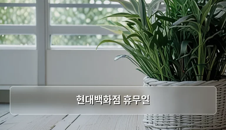 현대백화점 휴무일 확인과 힐링 쇼핑을 통한 스트레스 관리법