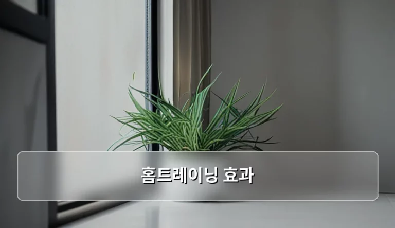 집에서 시작하는 건강 관리 홈트레이닝 효과 및 실천 방법