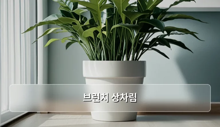 건강을 생각한 영양 가득한 브런치 상차림 가이드