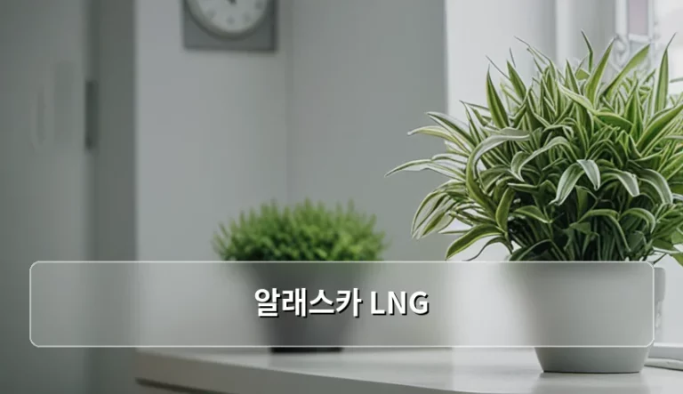 알래스카 LNG 개발과 지역 보건 환경의 상관관계