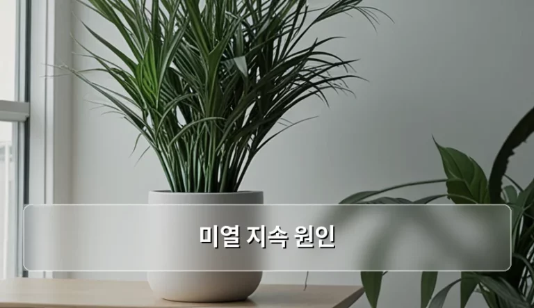 미열 지속 원인과 의심 질환 및 대처 방법