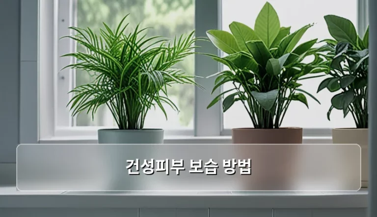 건성피부 보습 방법과 피부 장벽 강화 가이드