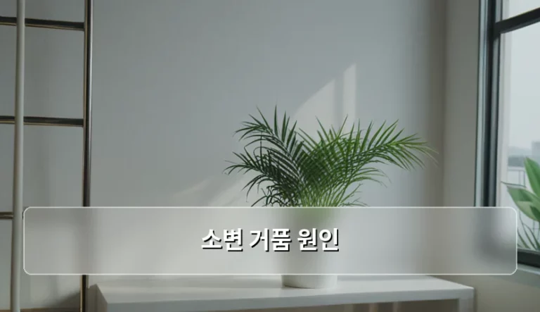 소변 거품 원인 분석과 신장 건강 관리 방법