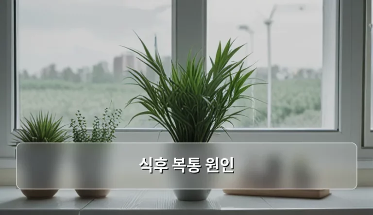 식후 복통 원인 분석과 증상별 대처 방법