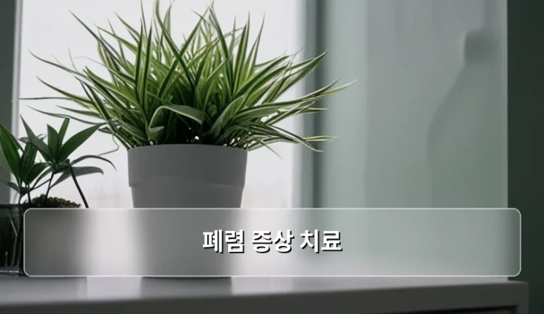 폐렴 증상 치료 방법과 시기별 관리 가이드