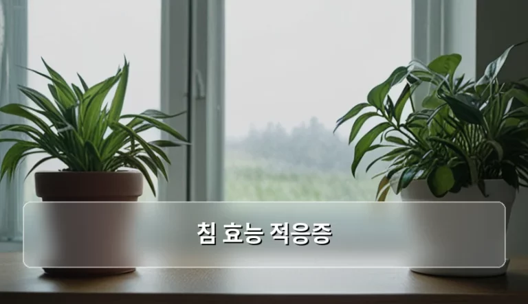 침 효능 적응증 및 증상별 치료 가이드