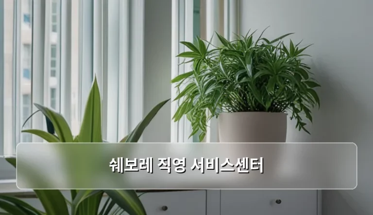 쉐보레 직영 서비스센터 예약 방법과 이용 팁 정리