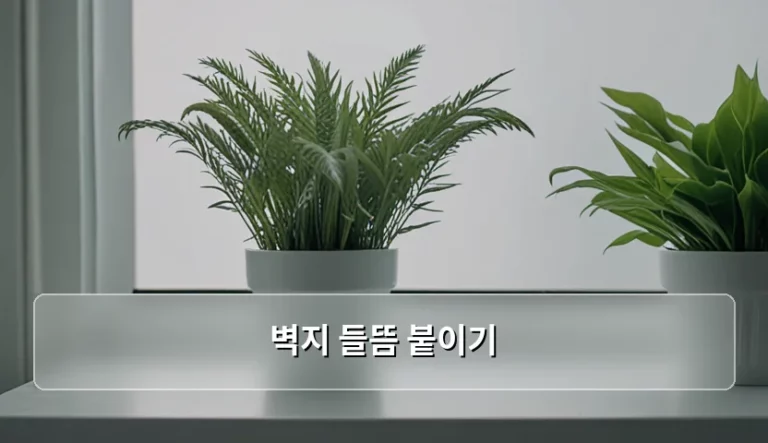 벽지 들뜸 붙이기 방법과 실내 공기질 건강 관리