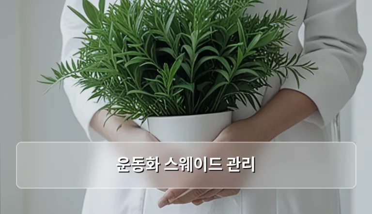 운동화 스웨이드 관리 방법과 소재별 오염 제거 팁