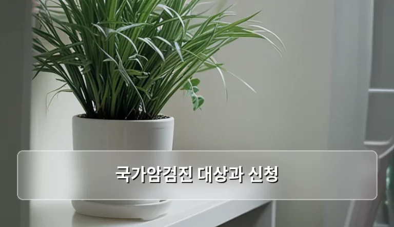 국가암검진 대상과 신청 방법 및 항목별 주의사항 안내