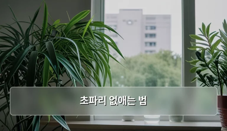 주방의 불청객 초파리 없애는 법과 확실한 예방 가이드
