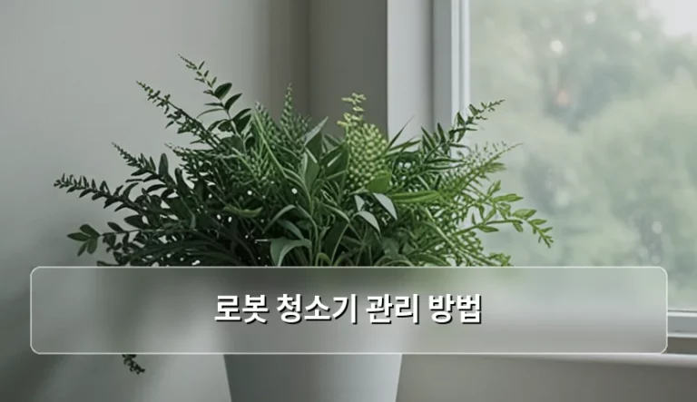 로봇 청소기 관리 방법과 호흡기 건강 지키는 요령